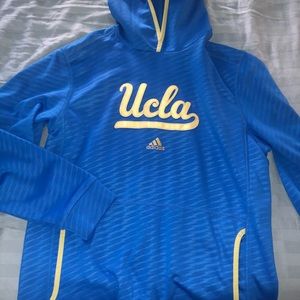 Bruin Hoodie
